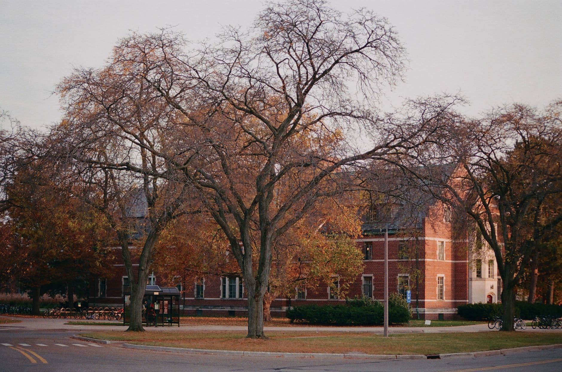 Scenic view of Michigan State University campus with autumn foliage and historic architecture.